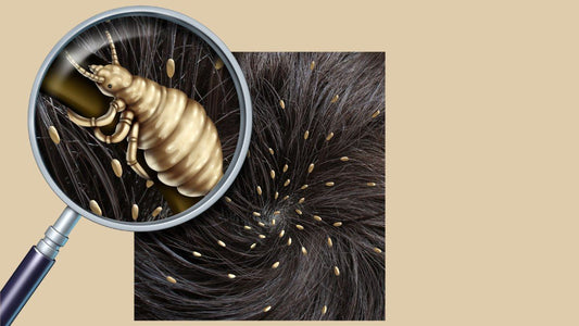 Shampoing anti poux